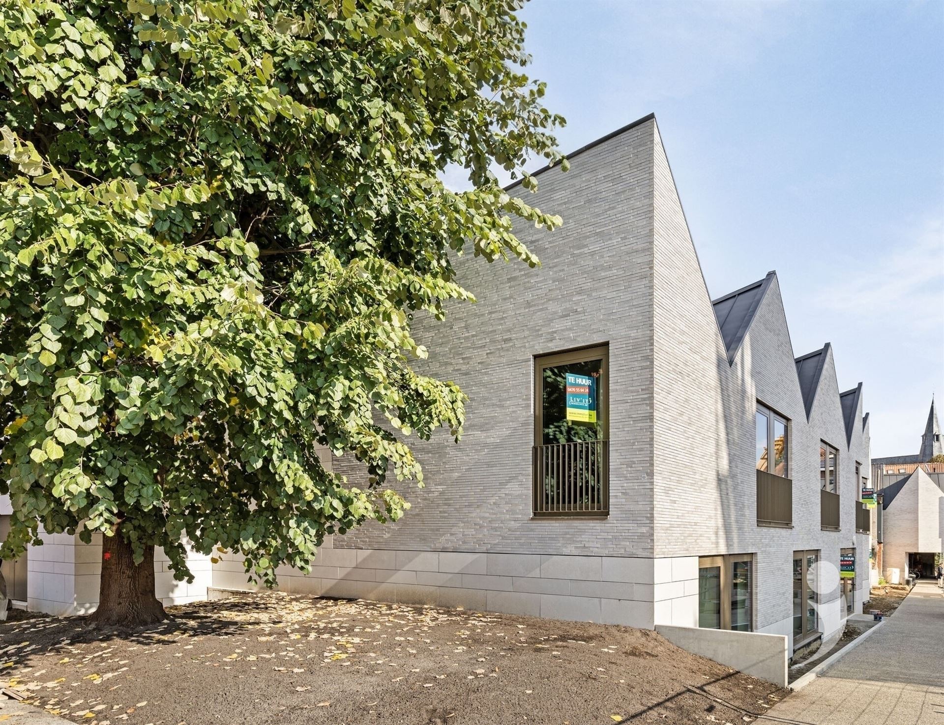 Dorm room for rent in LEUVEN