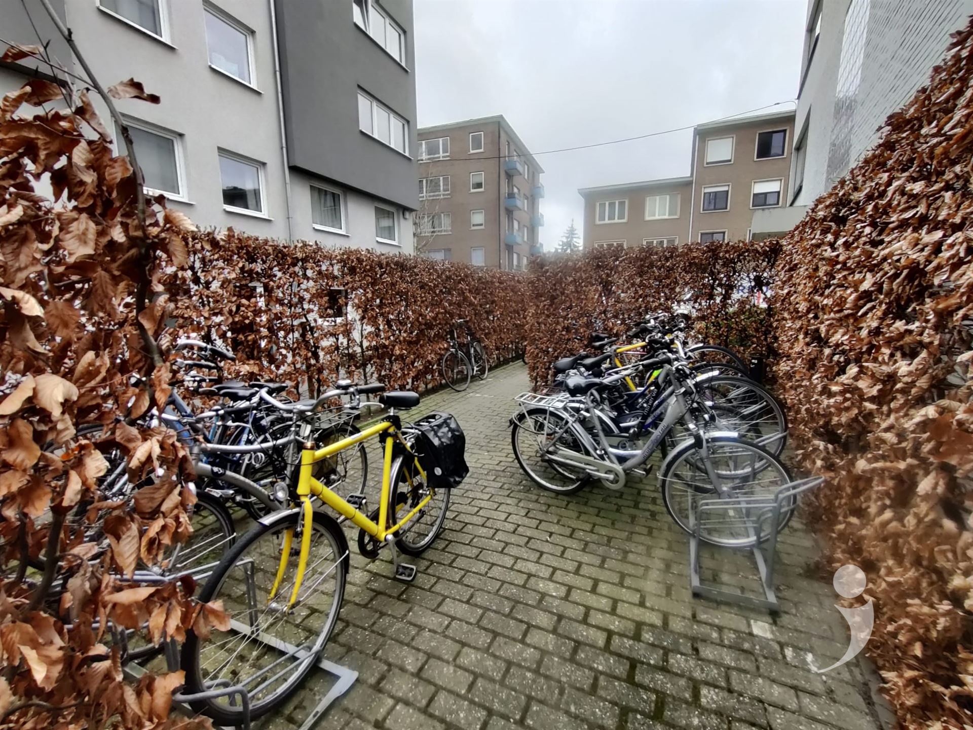 Studentenkamer te huur in LEUVEN